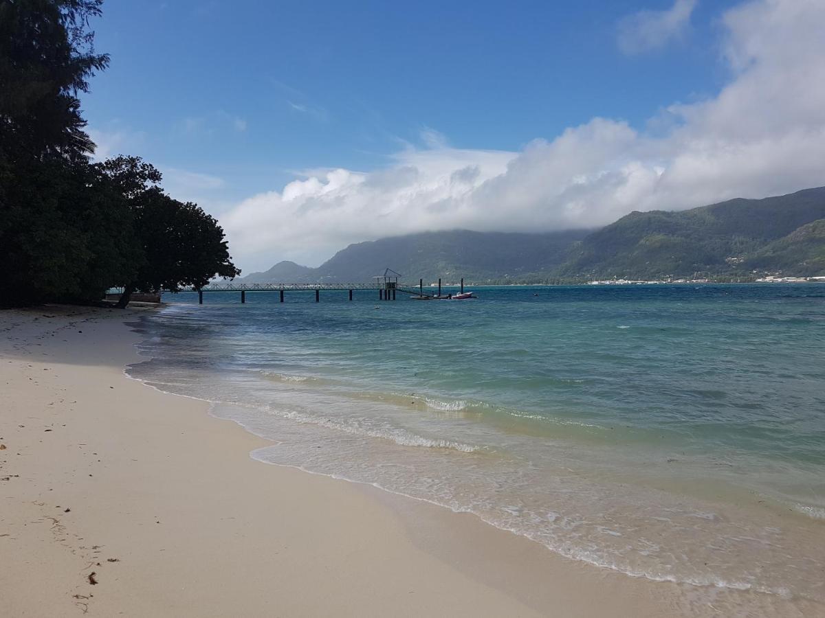Fairy-Tern Chalets Cerf Island Bagian luar foto